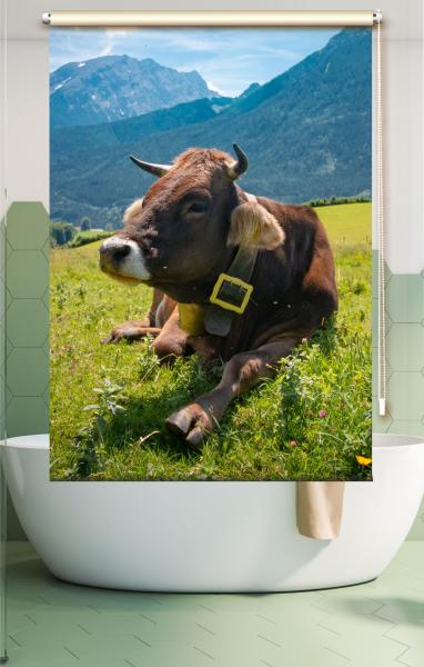 Extartiqe Duschrollo Erna